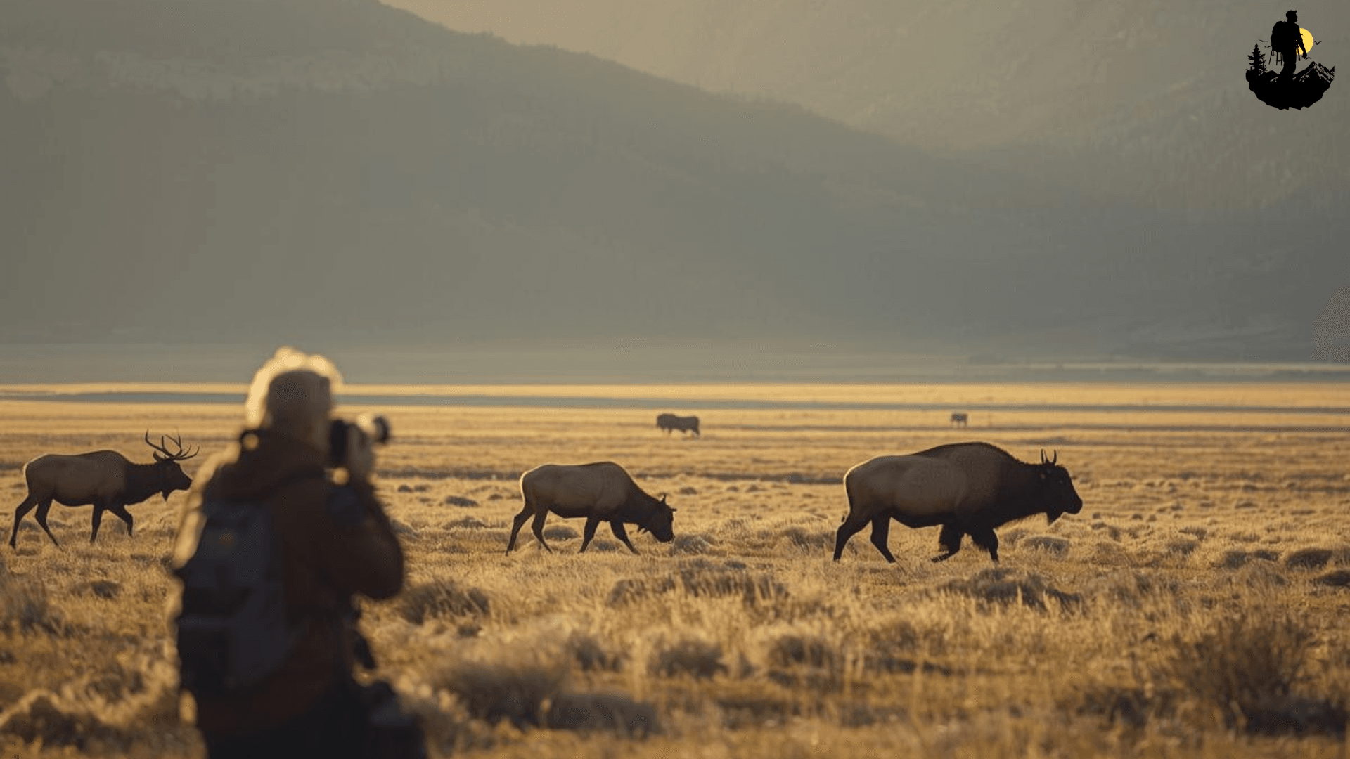 Wildlife Photography Tips for Remote Parks