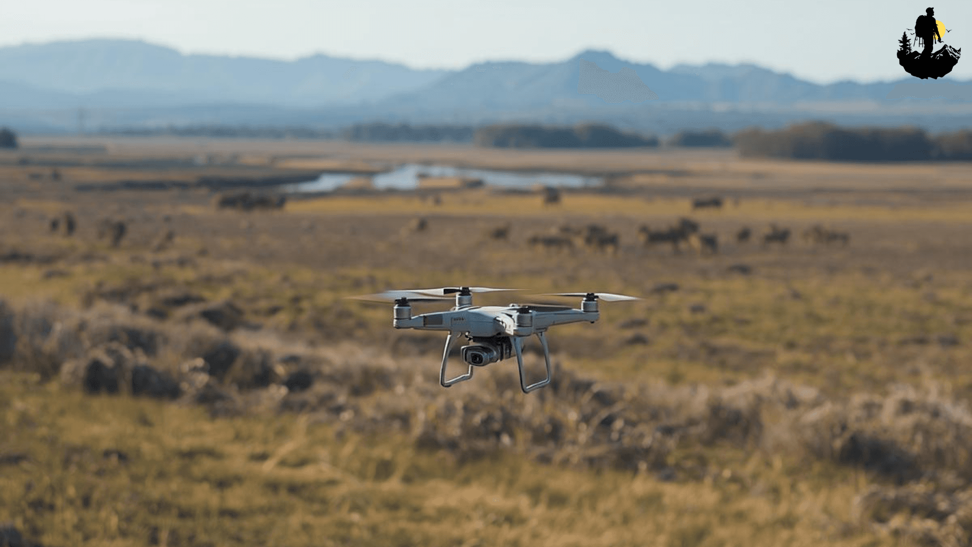 Beginner Drone-Legal Rules for Nature Spots
